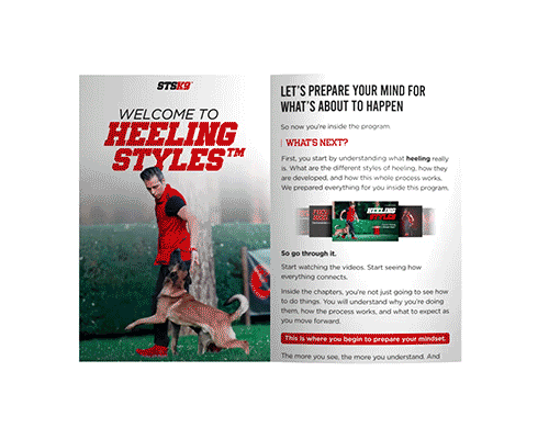 Heeling Styles PDF
