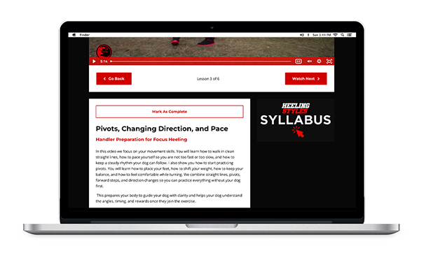 Heeling Styles Lesson