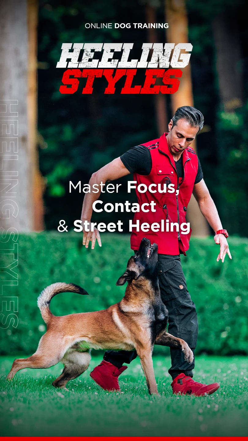 Heeling Styles Program