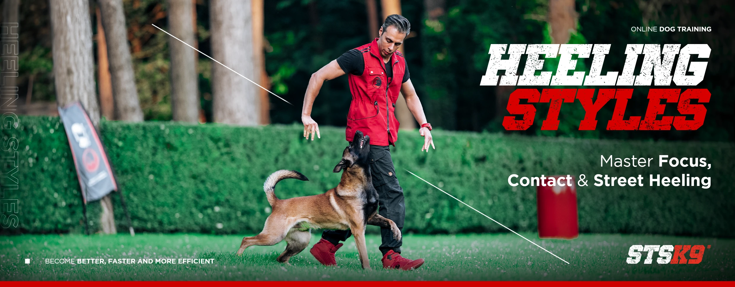 Heeling Styles Program