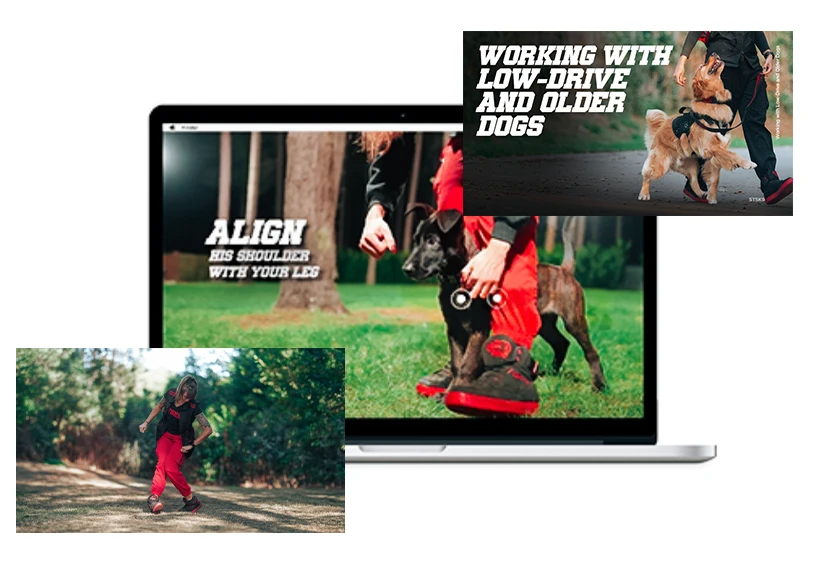 Heeling Styles Program Content